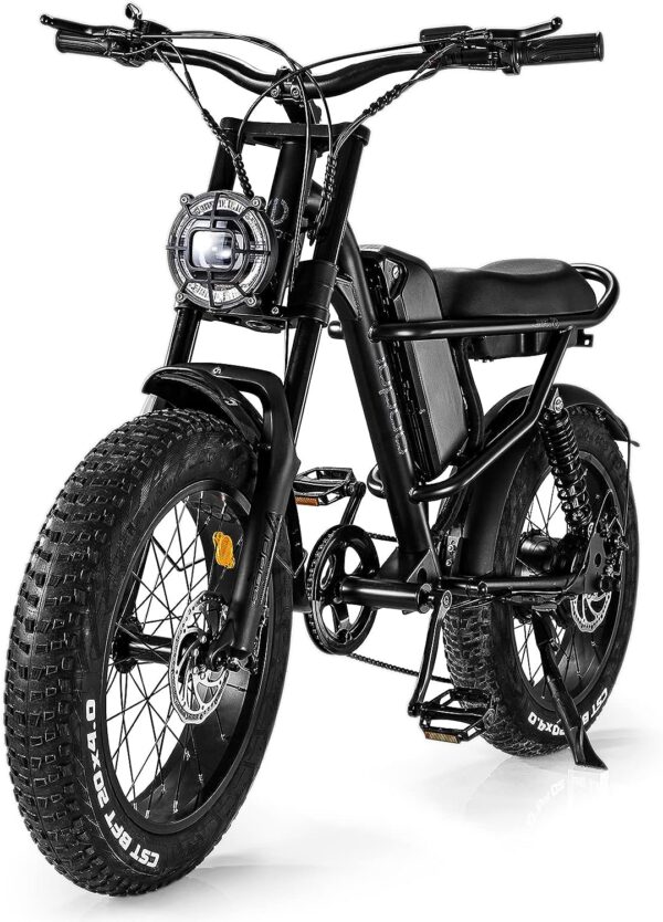 Electric Bike for Adults 48V 16Ah Removable Battery Full Suspension 20 Fat Tire Mountain Bike 28 Mph Electric Motorcycle Dirt Ebike with 7 Speed 'Experience the thrill with this high-speed 1000W peak power electric bike for adults. Featuring fat tires, 7-speed transmission, and premium configuration for epic journeys.'